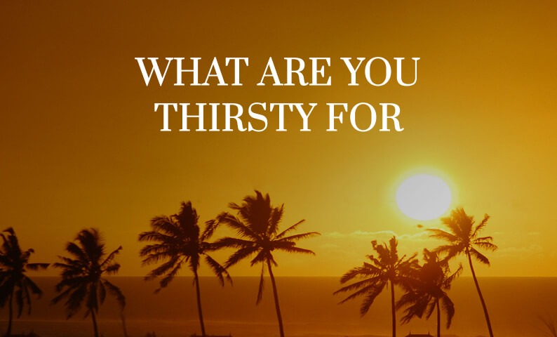 What Are You Thirsty For cover
